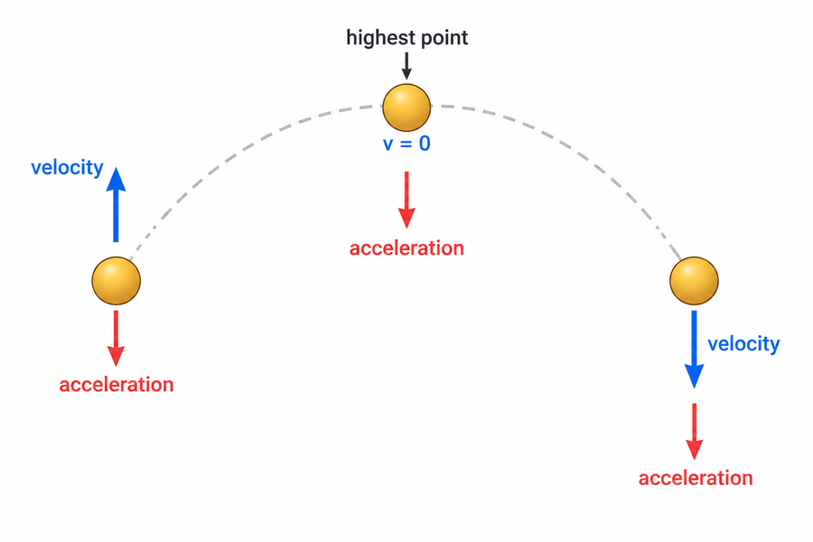 Schematic three-state comparison: the ball rises with upward velocity, has zero velocity at its highest point, and falls with downward velocity, while acceleration is downward at every state.